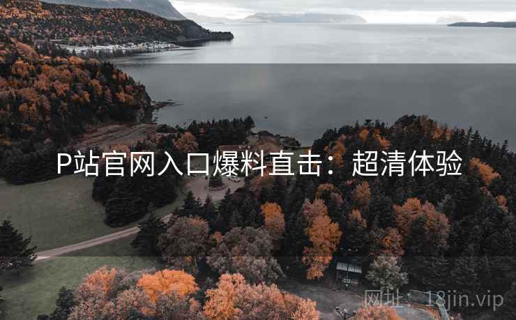 P站官网入口爆料直击：超清体验