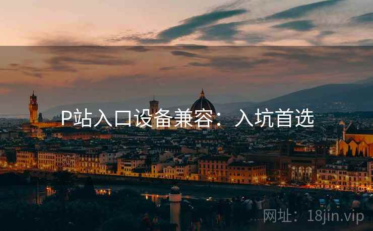 P站入口设备兼容：入坑首选