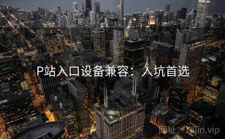 P站入口设备兼容：入坑首选