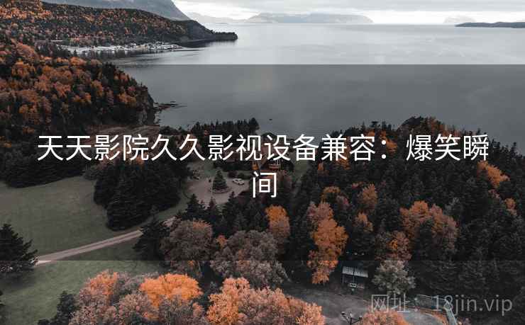 天天影院久久影视设备兼容：爆笑瞬间