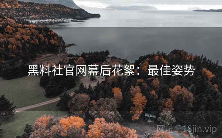 黑料社官网幕后花絮：最佳姿势