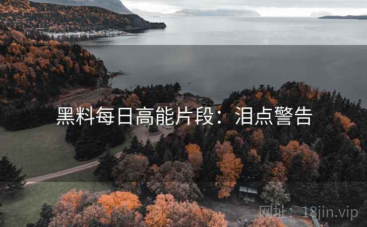 黑料每日高能片段：泪点警告