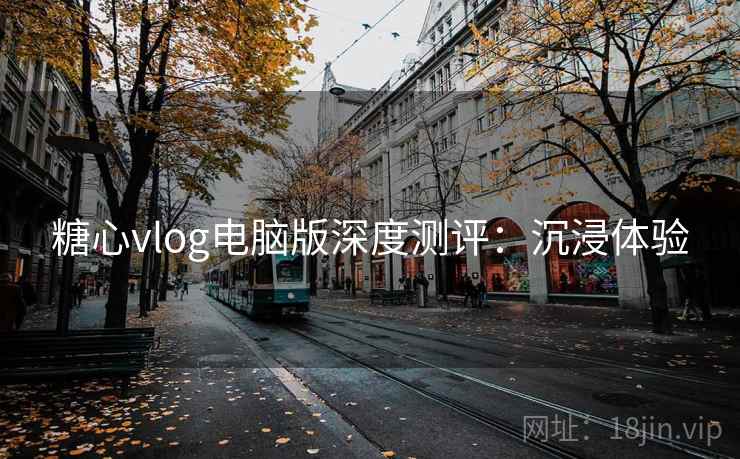 糖心vlog电脑版深度测评：沉浸体验